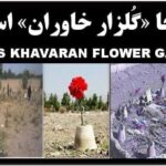 گلزار‌خاوران
